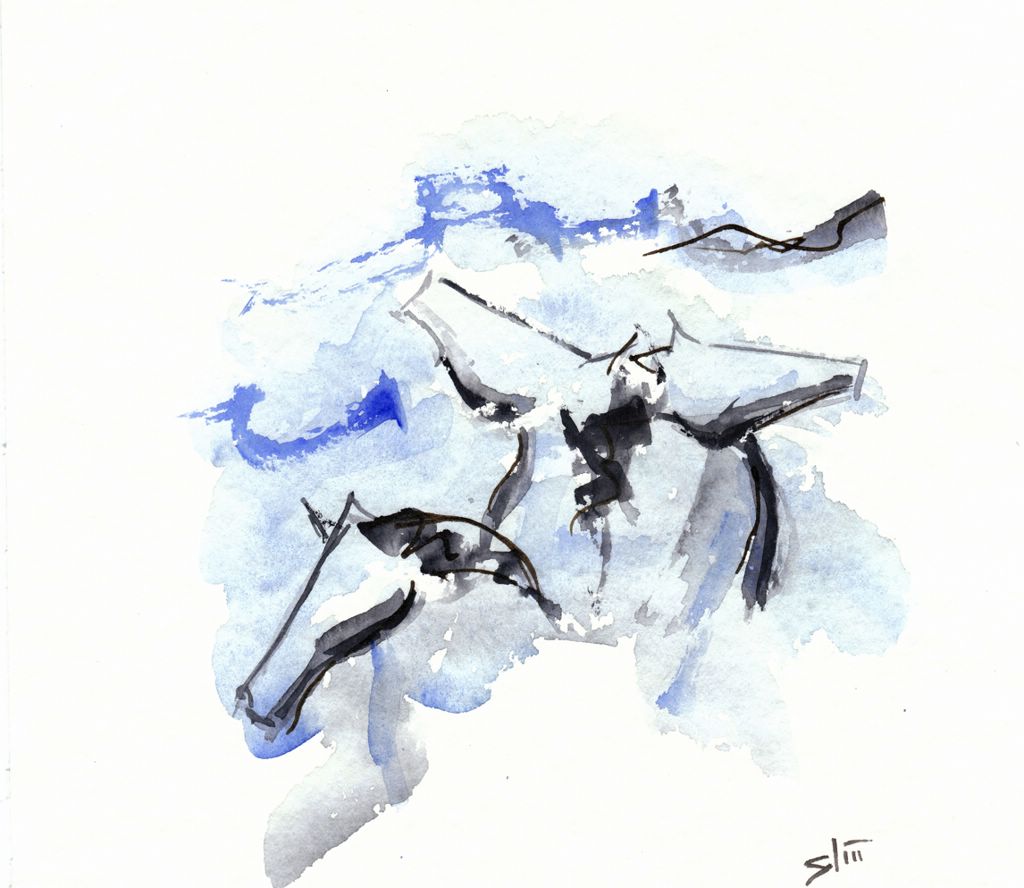 Aquarelle